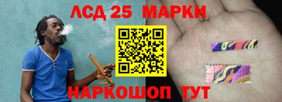 прущие крисы Моздок