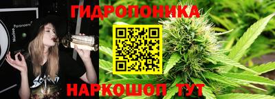 прущие крисы Моздок