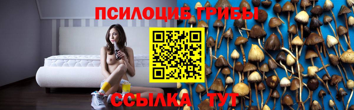 Псилоцибиновые грибы Magic Shrooms  Псилоцибиновые грибы Psilocybe  Вход с VPN  Среднеуральск 